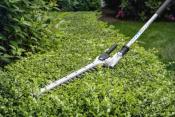 TAILLE HAIES STIHL HL-KM 145° 500MM