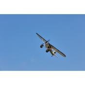 AVION 1300 mm PA-18 SUPER CUB RTF