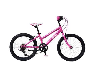 VELO ENFANT VTT CELINE 20"